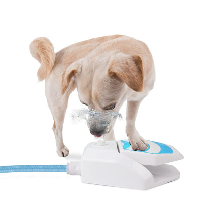 Paw Activated Outdoor Dog Water Fountain